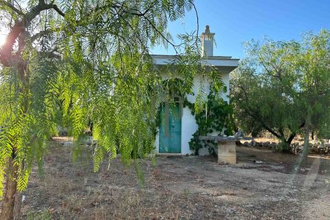 Ruïna a Ostuni, Brindisi, Ostuni - € 43.000 | Ref: Lamia Vite - foto 17